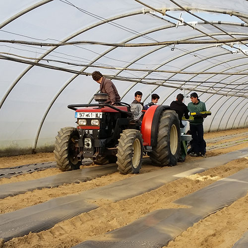 Técnico de Gestão Agropecuária