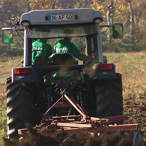Operador de Máquinas Agrícolas