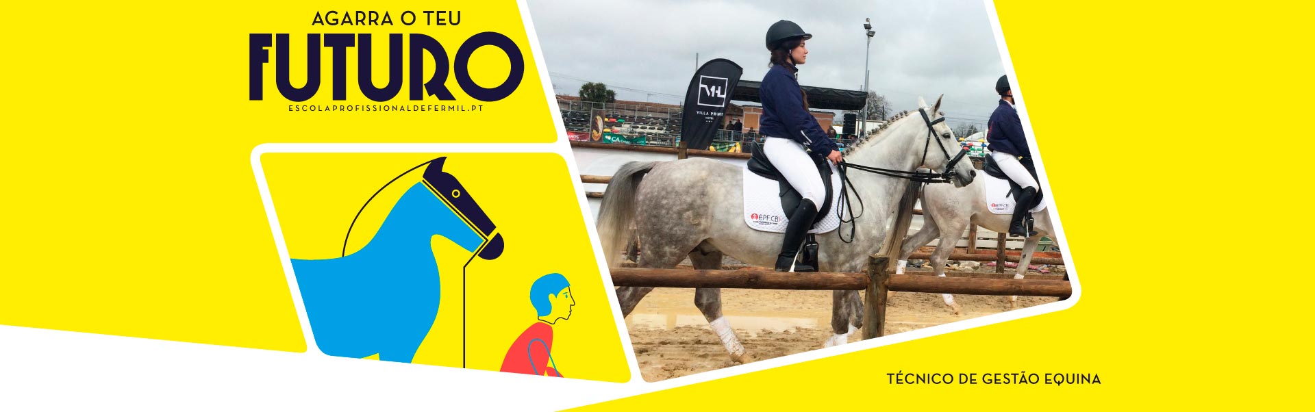 Técnico de Gestão Equina