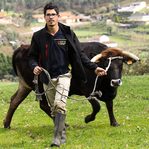 Técnico de Produção Agropecuária